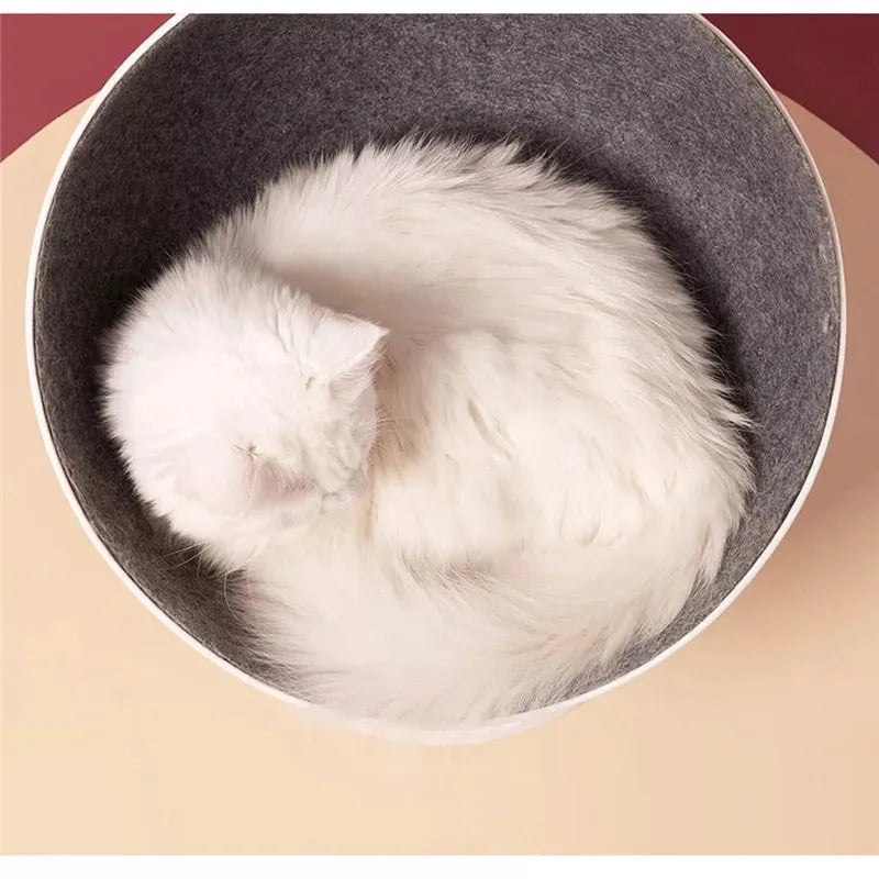 Cat Beds & Mat Pet House