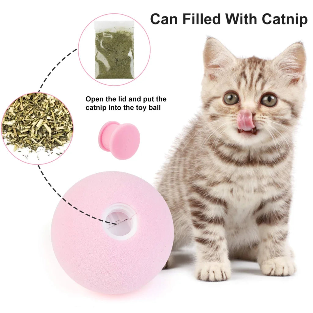 Cat Training Squeaky Ball Toy