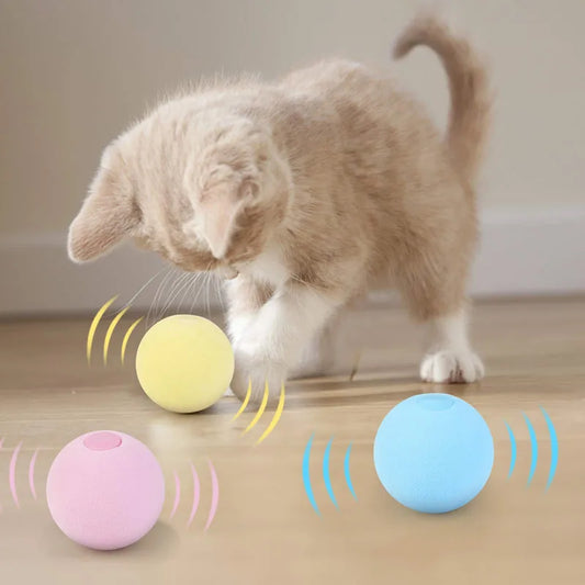 Cat Training Squeaky Ball Toy