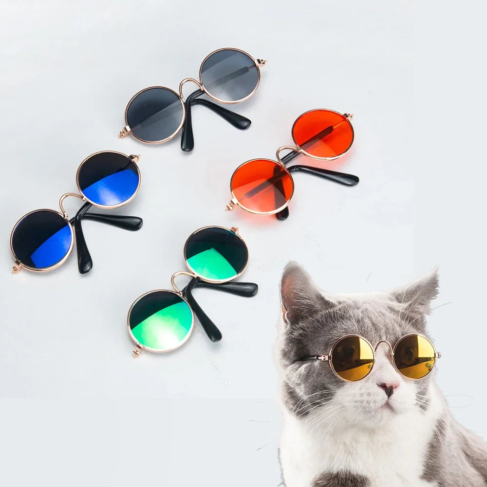 Pet Cat Glasses